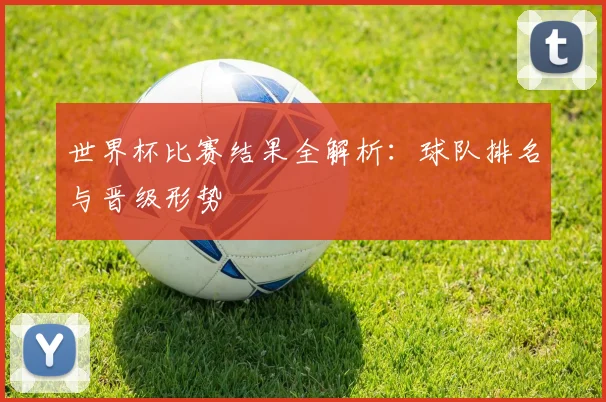 世界杯比赛结果全解析:球队排名与晋级形势