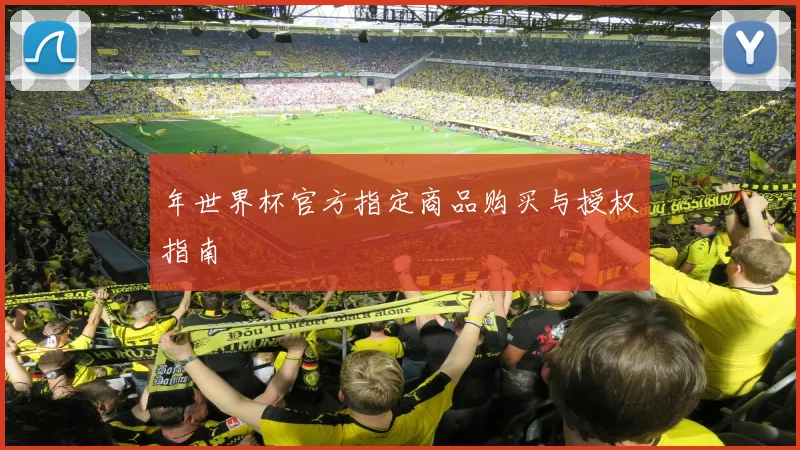 年世界杯官方指定商品购买与授权指南
