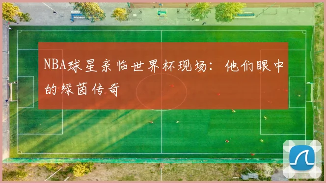 NBA球星亲临世界杯现场：他们眼中的绿茵传奇