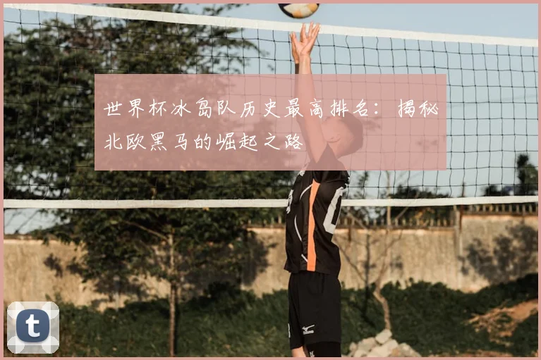 世界杯冰岛队历史最高排名：揭秘北欧黑马的崛起之路