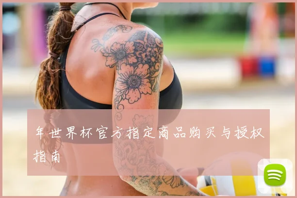 年世界杯官方指定商品购买与授权指南
